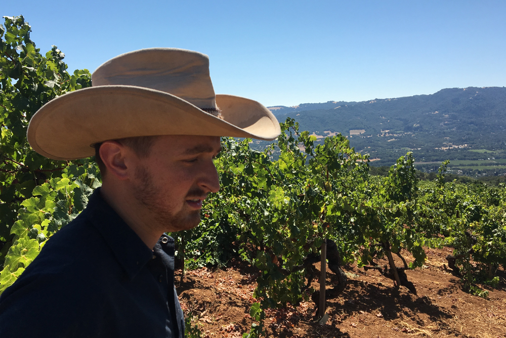 Viticulturist Jake Neustadt in the Monte Rosso vineyard