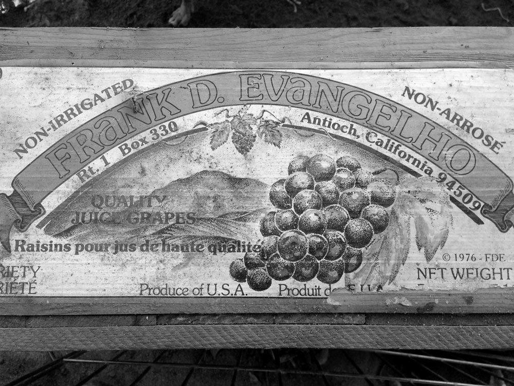 An old fruit crate with Frank D. Evangelho’s name from circa 1976