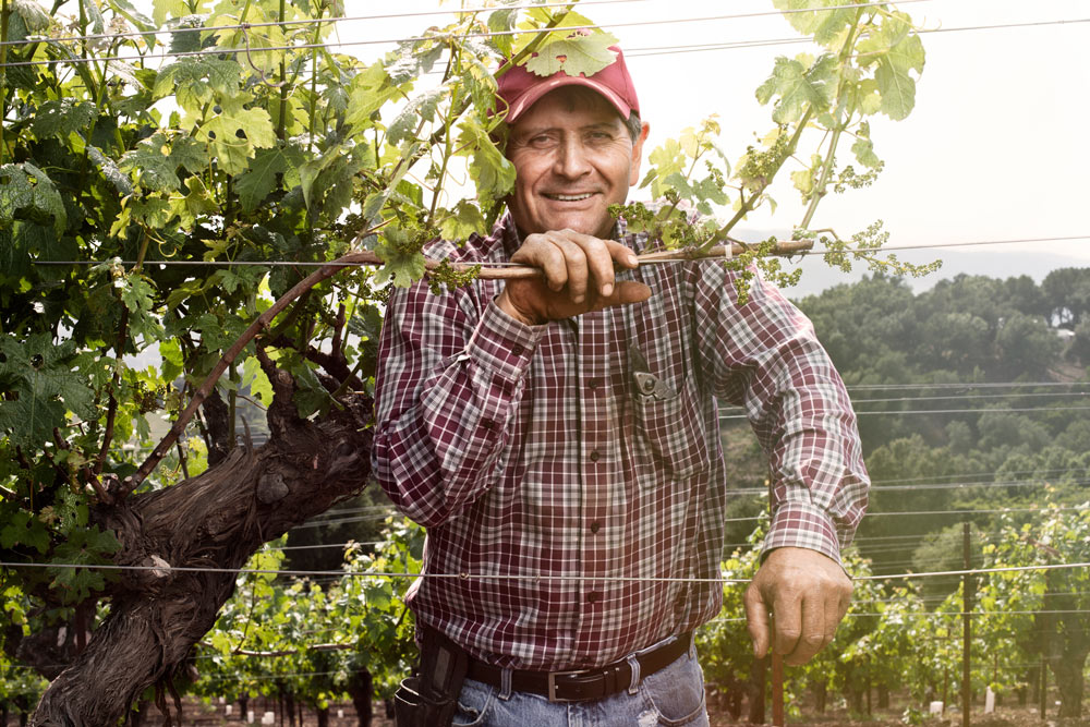 Chuy Ordaz, the outstanding grower at Montecillo Vineyard