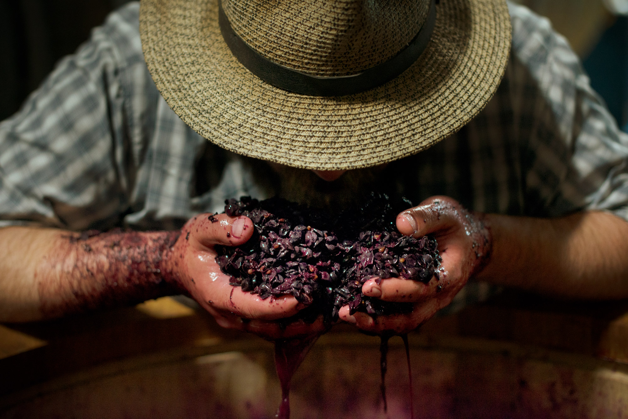 Bedrock Consigliere Chris Cottrell inhaling the delicious scent of fermenting red grapes